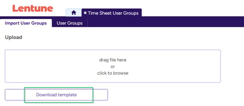 Import Time Sheet User Groups and Time Sheet Entry Types-2