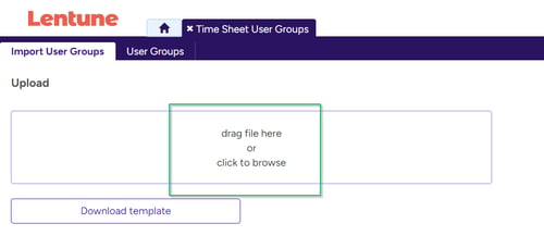 Import Time Sheet User Groups and Time Sheet Entry Types-3